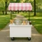 Ice Cream Cart Rental